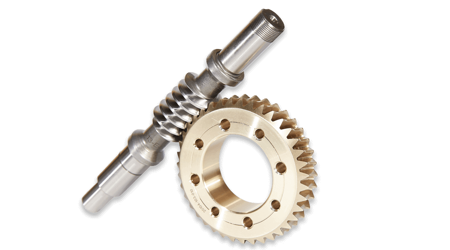 Dual lead worms and Worm Gears