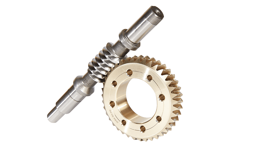 Dual lead worms and Worm Gears